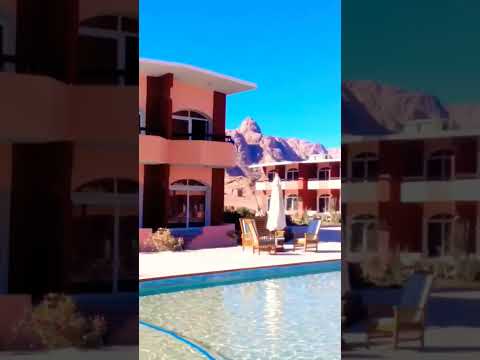 Morgan Land Resort surrounded by Mt.Sinai #resort #mtsinai #israel #egypt #holylandtour #shorts