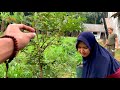 Indonesia Girl Rural Life. Suasana Pedesaan || Pesona Gadis Desa Cantik &amp; Rajin Berkebun