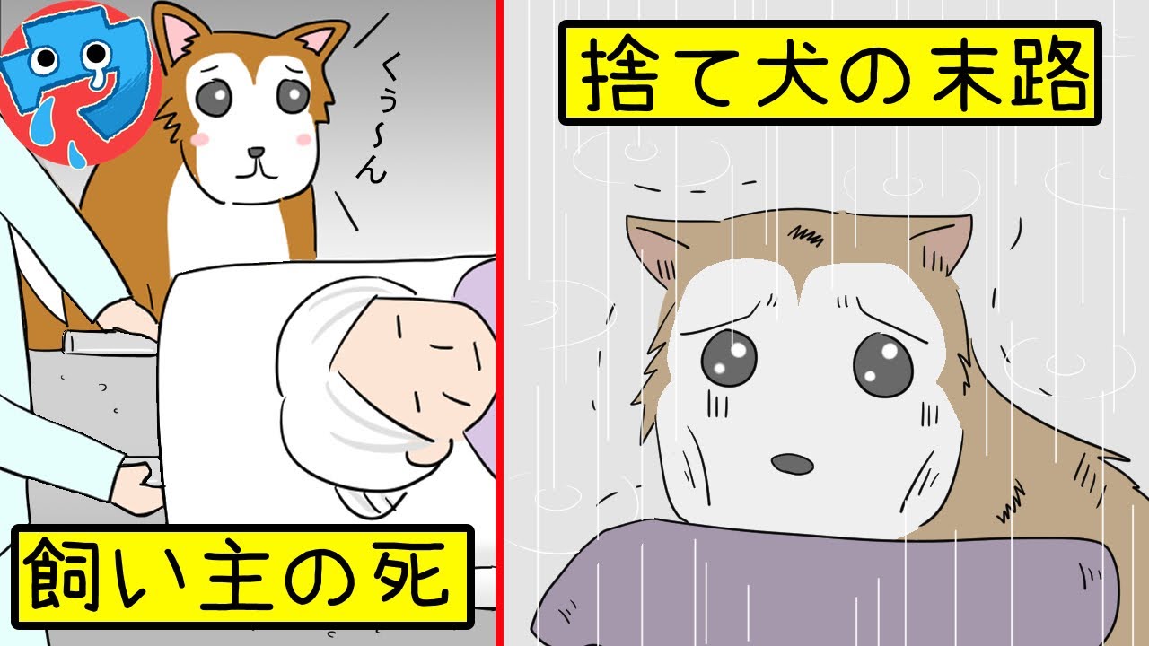 感動する話漫画動物 犬 飼い主のお婆ちゃんが亡くなり 身寄りのない犬の末路 感動する話を漫画化 動物がかわいいyoutube動画はここだ