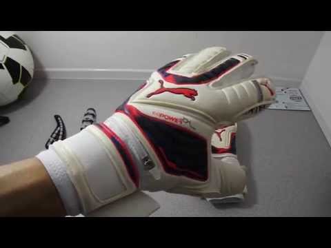 puma evopower goalkeeper gloves