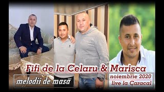 Fifi de la Celaru & Marisca- melodii de masa live 14 min