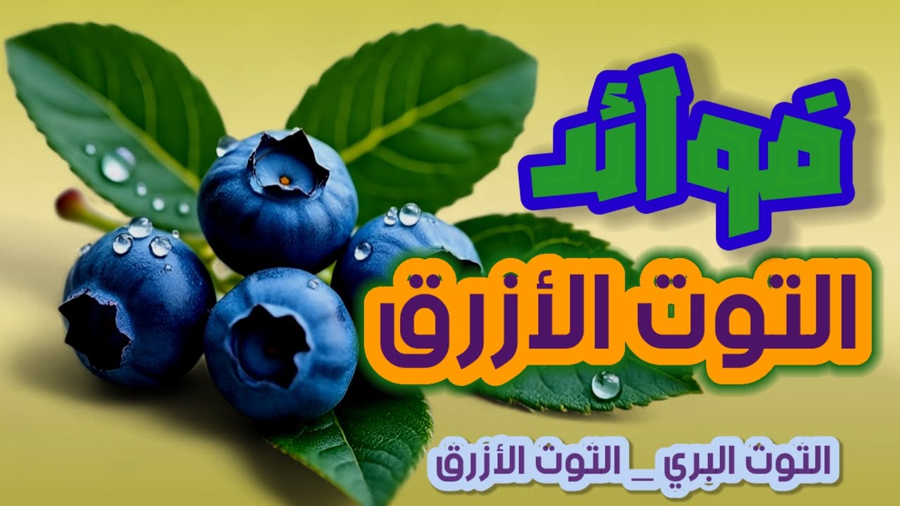 فوائد التوت الأزرق المذهلة أهم ثمانية فوائد للتوت الأزرق هذه الفاكهة الخارقة وسنذكر ايضا بعض اضراره 
