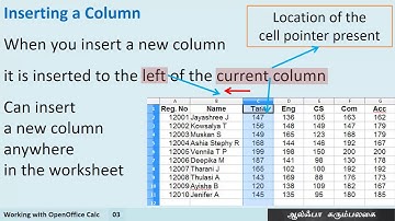 +1 CA Chapter 07 Working with OpenOffice Calc - 03