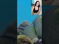 Mizkif and Esfand competing on house size