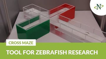 Cross Maze for Zebrafish Research | Noldus Product Demo