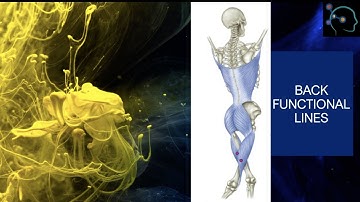 Back Functional Fascial Lines/Slings