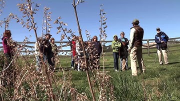 Montgomery County Launches Online Map of African-American Historical Sites