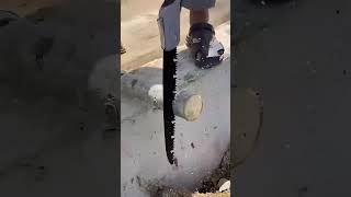 Teasing And Exploiting My Cameraman