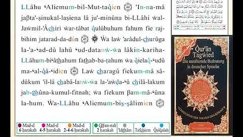 ختمة من مصحف التجويد باللغة الألمانية الصفحة رقم 194