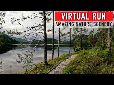 Trailrunners Dream | 40 min Virtual Run Around a Lake in Nature Scenery | Treadmill