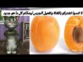 تعليم الاطفال اسماء الفواكه مع القط توم المتكلم 