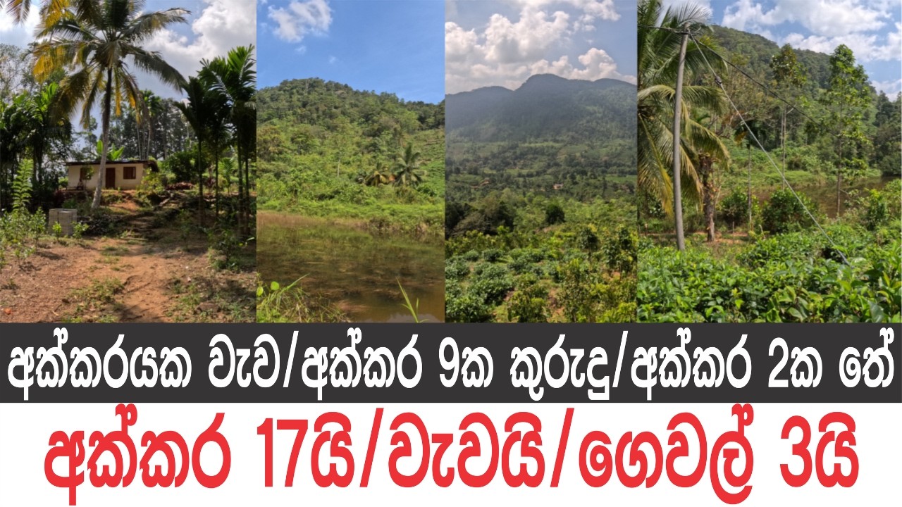 අක්කර 17යි, වැවයි, අක්කර 9ක කුරුදු වගාව, අක්කර 2ක තේ, ගෙවල් 3ක්..