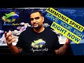 Fish Tank Ammonia - How to fix it right now (SIMPLE)