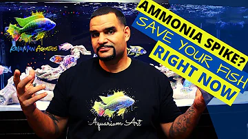 Fish Tank Ammonia - How to fix it right now (SIMPLE)