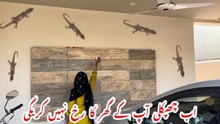 Ghar Se Chipkali Bhagane Ka Tarika|Get Rid Of Lizards At Home|Tips And Tricks|Tarab Khan Vlogs