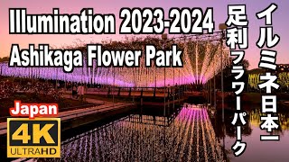 Ashikaga Flower Park あしかがフラワーパーク イルミネーション日本一のイルミネ 2023 足利観光 日本三大イルミネ Illumination Japan 足利花卉公園