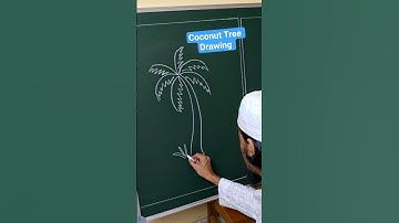 Coconut tree drawing easy #shorts #youtubeshorts #drawing