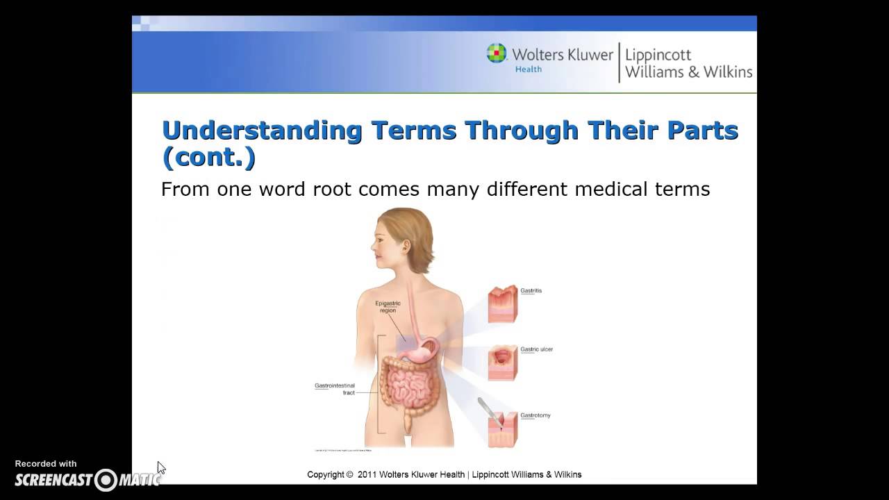 Medical terminology chapter 1