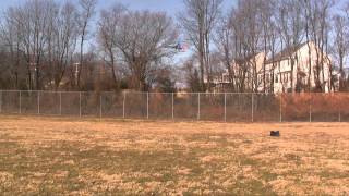 T-Rex 500 first real flight.mp4
