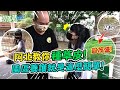 把庭院荒地變成茂盛草坪！ 想打造辦公室後花園卻發生悲劇...？！ FT.@阿北出市啦 【含羞草日記】