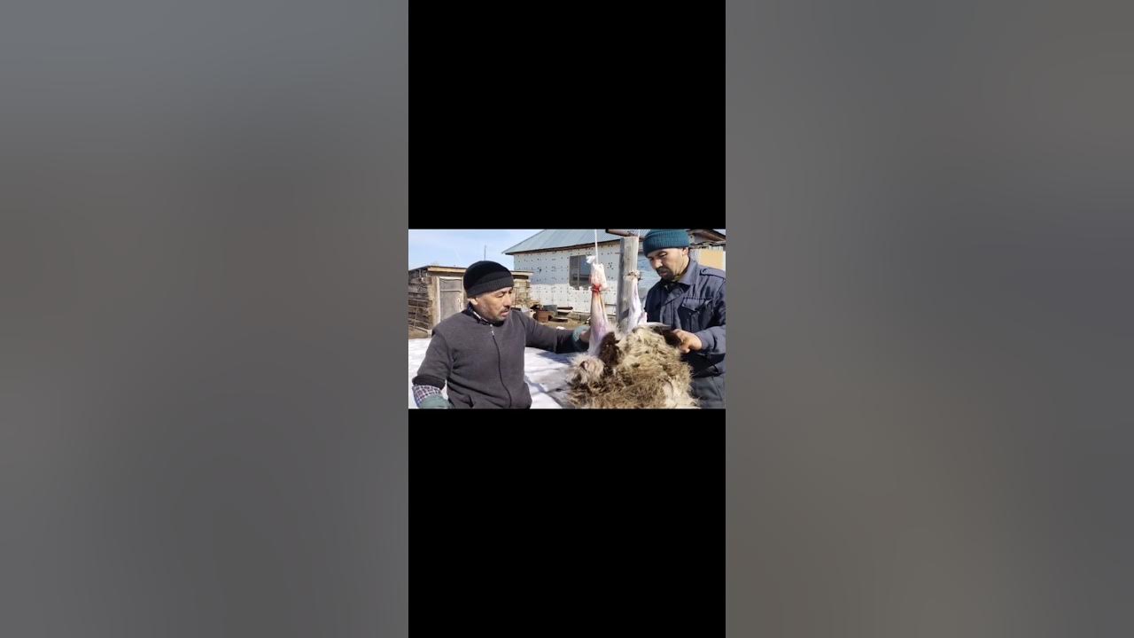 Қатты кремпи