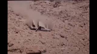 Бархан (1989) - car crash scene