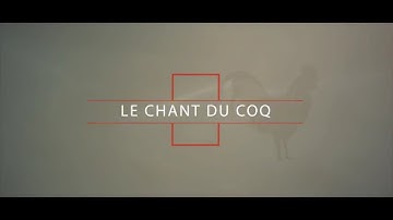Qui sont les 4 êtres vivants ?