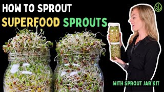 How to Sprout Nutrient-Packed Superfood Sprouts using our Sprout Jar Kit | Light vs Blackout