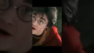 Dragon Screamer | Harry Potter| Quidditch Match