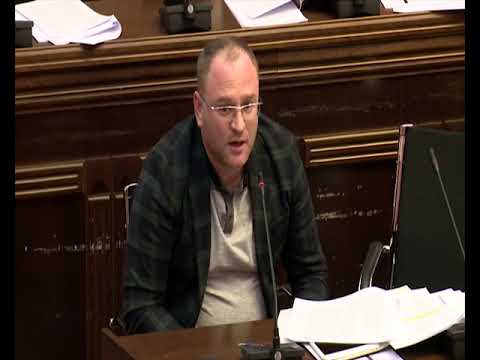 ირაკლი ბერაიას გამოსვლა თავდაცვისა და უშიშროების კომიტეტის სხდომაზე