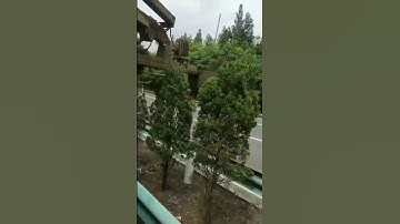 Tree Trimming Machine: Top Tools for Efficient Tree Care