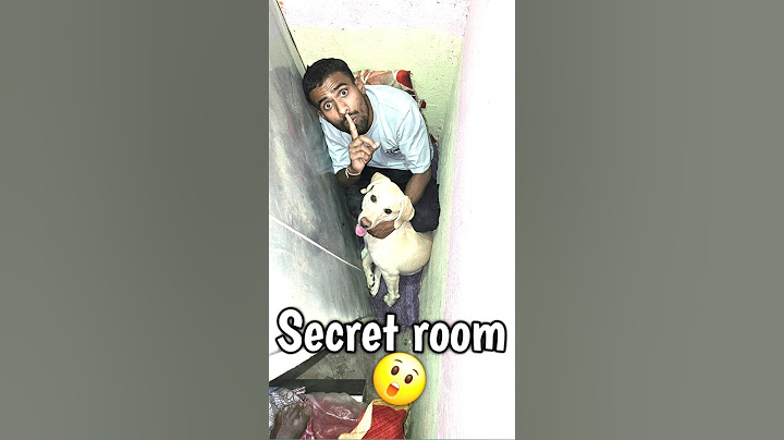 Secret room bna diya🤫💀|| #trending #minivalog #viral #shorts #dog #ashortaday