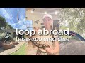 Prevet vlog  loop abroad texas zoo medicine