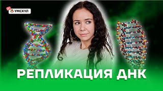 Репликация ДНК | Биология ЕГЭ 2022 | Умскул