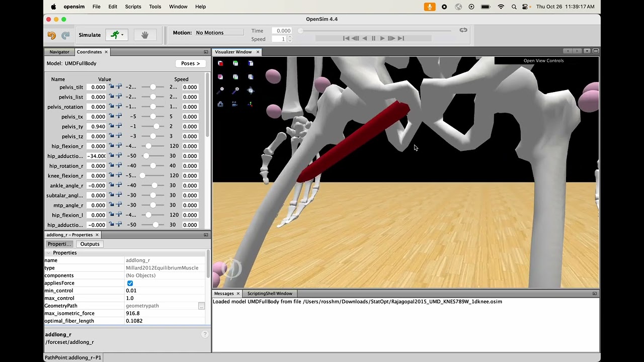 KNES789W: Adding a muscle