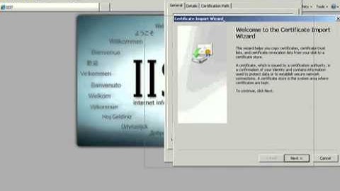 Server 2008 Cert Authority and SSL