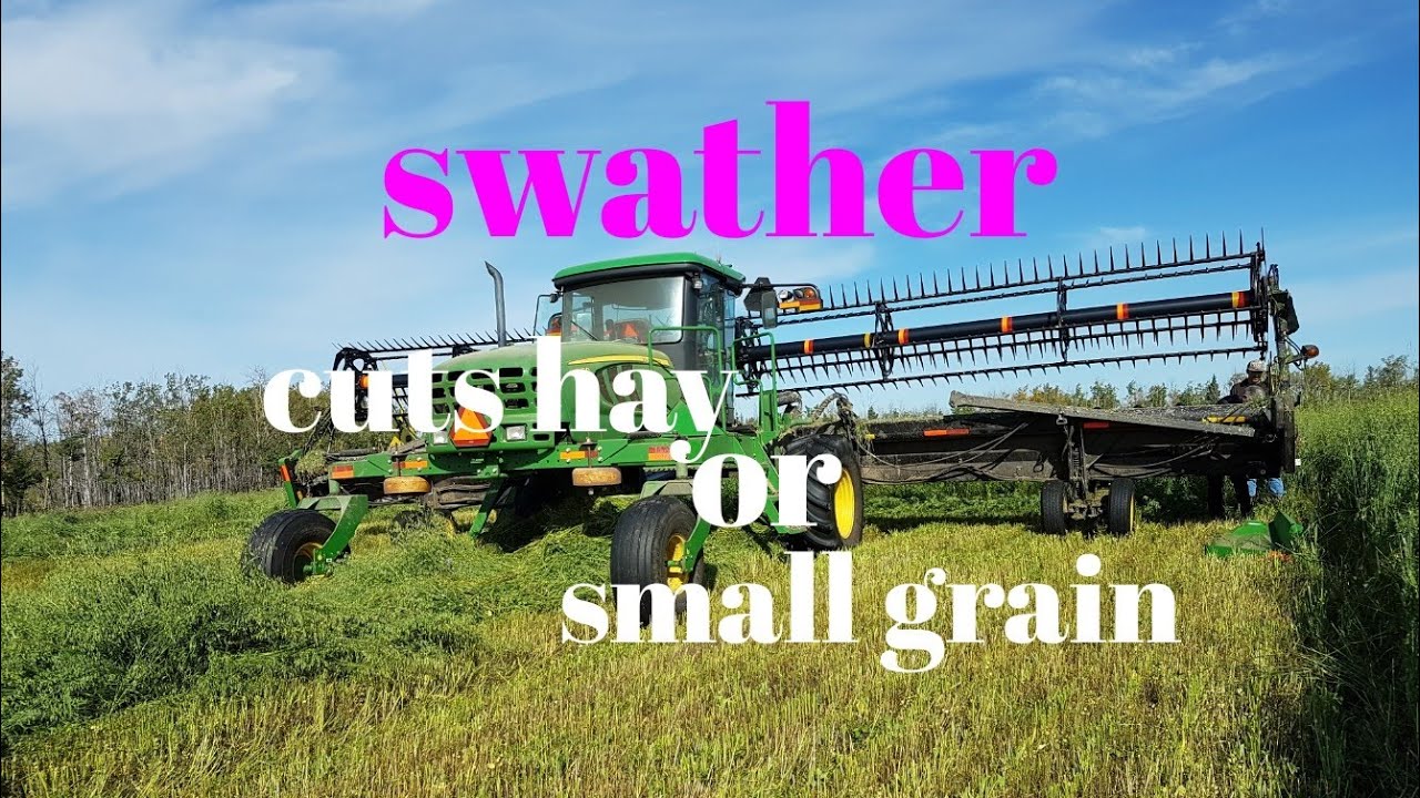 This Is How The Swather Works/Alberta Farm/Pinay In Canada