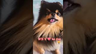 El Chombo-Chacarron Ka