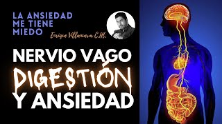 ANSIEDAD, Digestión, NERVIO VAGO y Síntomas