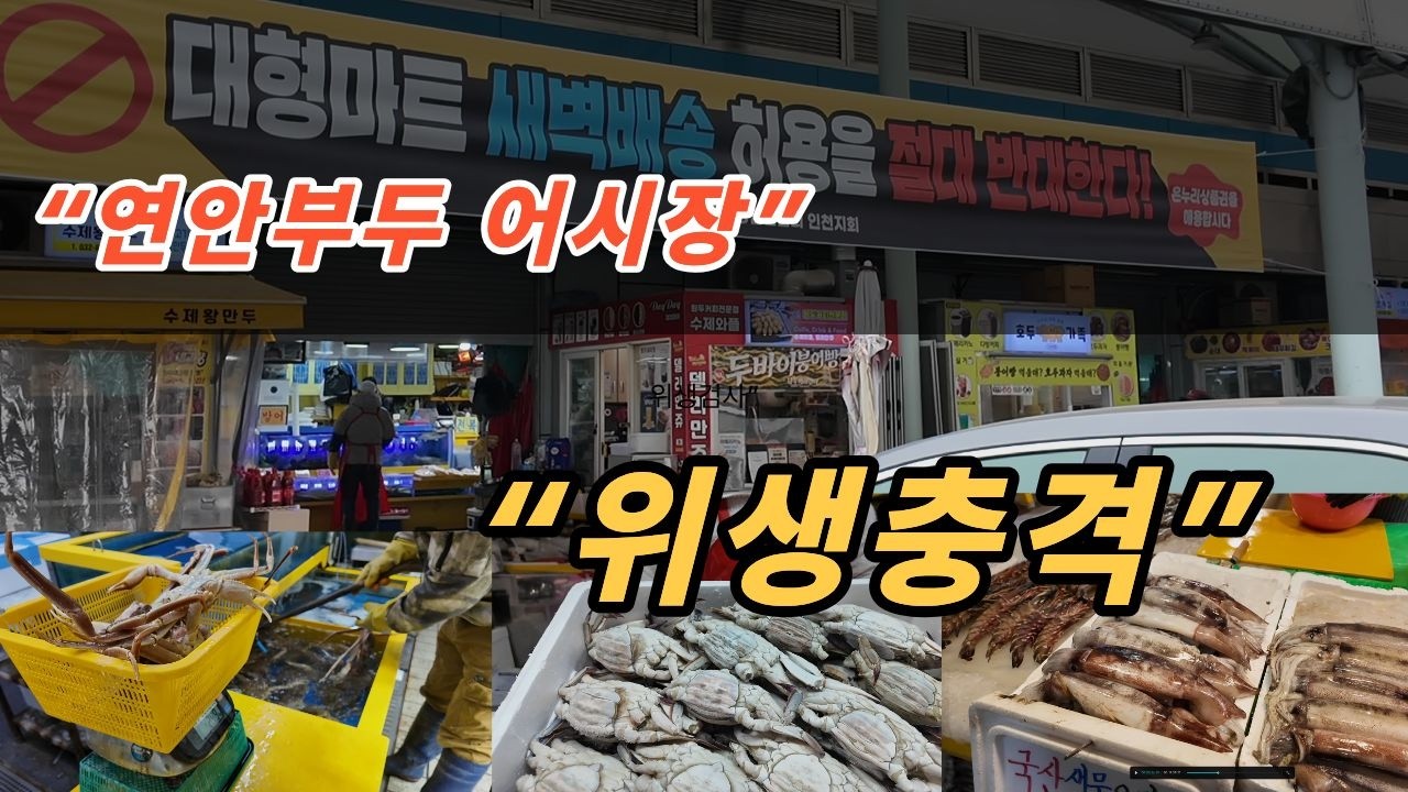 “연안부두 횟집에 직접 잠입한 위생과… 회 바로 검사했더니 충격 결과”~! 힐링여행