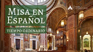 XII Tiempo Ordinario 2026 - Catedral de San Mateo Apostol - Washington, DC