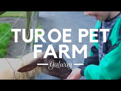 Turoe Pet Farm - Children&rsquo;s Outdoor Activity Centre Galway