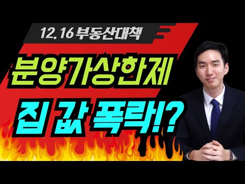 12.16 부동산대책 - 분양가상한제?! 집값 폭락 오나?