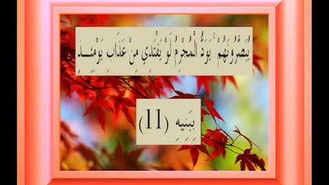 القران الكريم سورة المعارج الأية 11.wmv