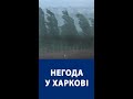 Негода у Харкові потрощила машини (ВІДЕО) #Shorts