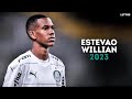 Estevo willian 2023  the future  magic skills  goals 