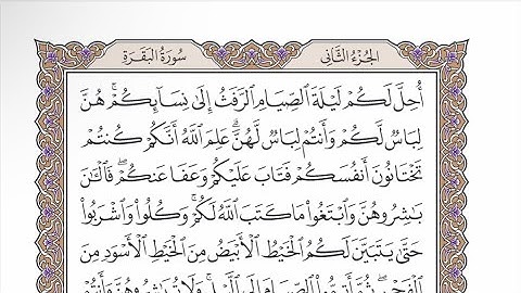 صفحة ٢٩ من القرآن الكريم مكررة ٣ مرات - الشيخ عبدالرشيد صوفي