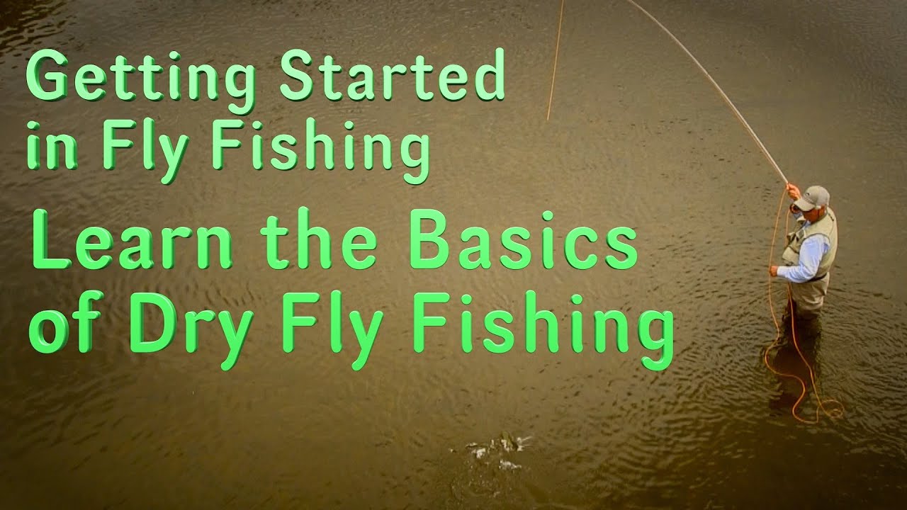 Getting Started in Fly Fishing: Learn the Basics of Dry Fly