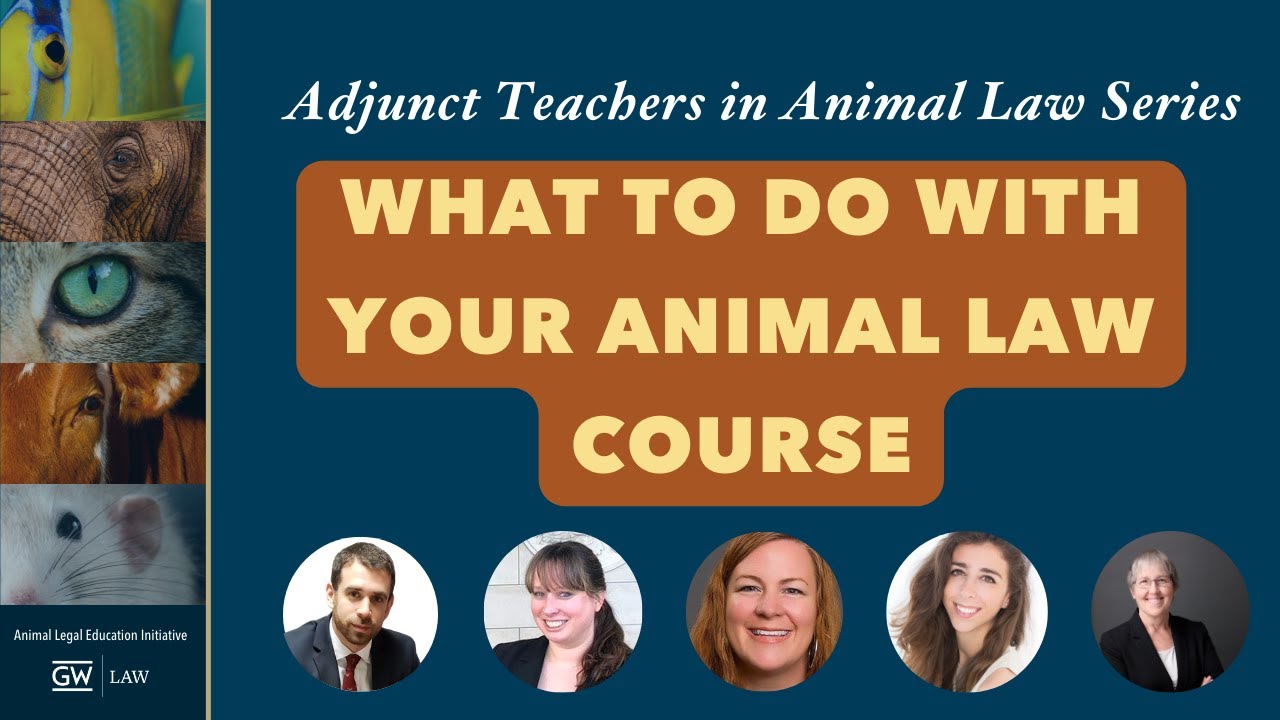 What To Do With Your Animal Law Course