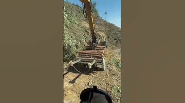 Excavator claw grabs logs for loading operation